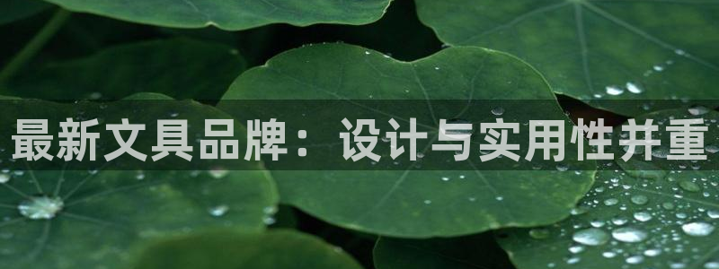 龙八国际官网安卓：最新文具品牌：设计与实