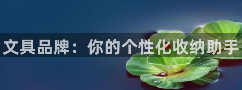 龙八国际害死多少人：文具品牌：你的个性化
