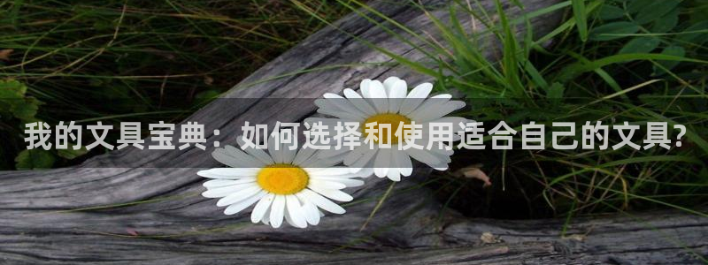 龙八国际服官网进入：我的文具宝典：如何选
