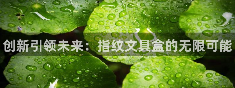 天津龙八国际：创新引领未来：指纹文具盒的