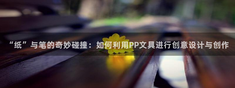 项目名称龙八国际：“纸”与笔的奇妙碰撞：
