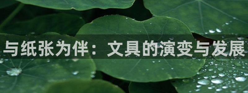 龙八国际优惠：与纸张为伴：文具的演变与发