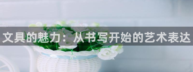 龙八国际客户端下载安装：文具的魅力：从书