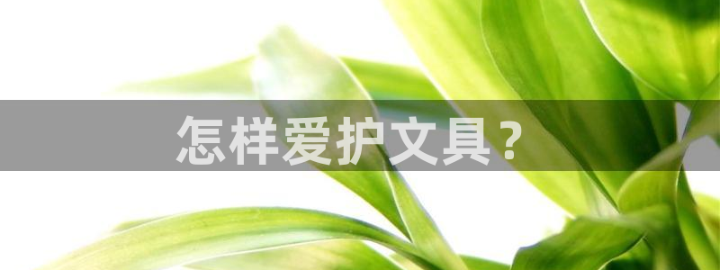 龙八国际Pt老虎机：怎样爱护文具？