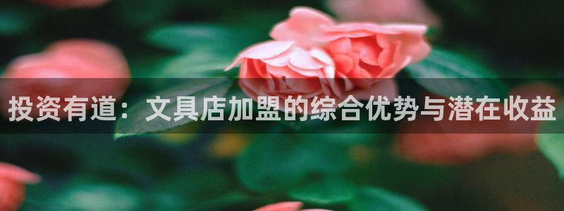 龙八国际娱乐 pt：投资有道：文具店加盟
