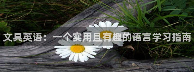龙八国际app电话：文具英语：一个实用且