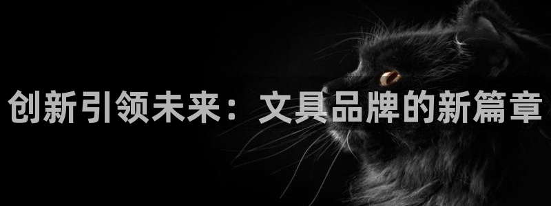 怎么举报龙八国际：创新引领未来：文具品牌