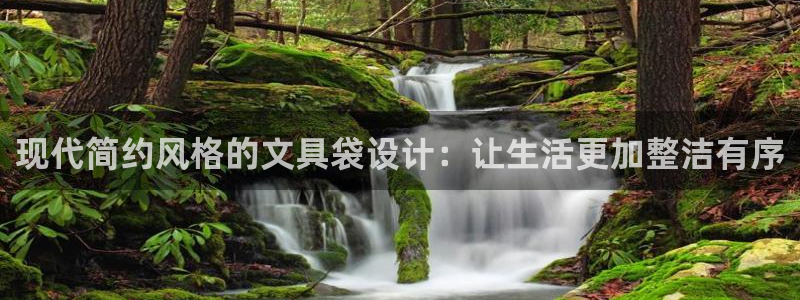 龙八国际客户端：现代简约风格的文具袋设计