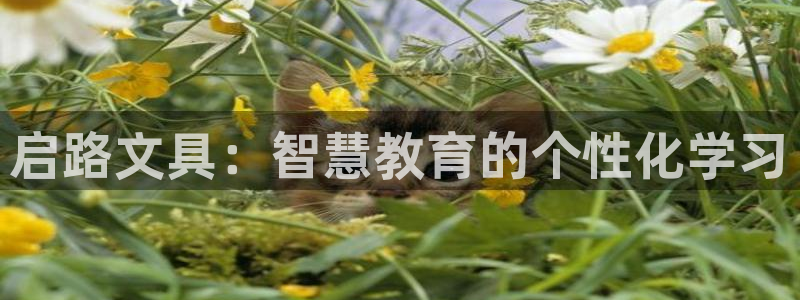 龙八国际娱乐下载：启路文具：智慧教育的个