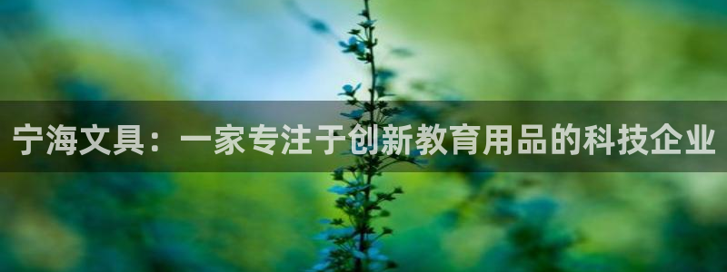 龙八国际娱乐靠谱吗：宁海文具：一家专注于