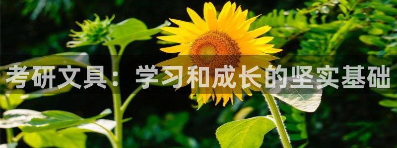 龙八国际在线网址：考研文具：学习和成长的