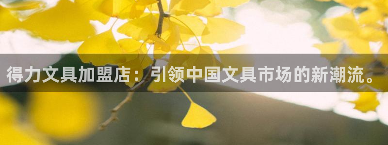 龙八国际娱乐预约：得力文具加盟店：引领中