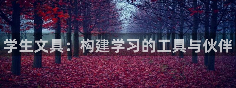 龙八国际娱乐二维码：学生文具：构建学习的