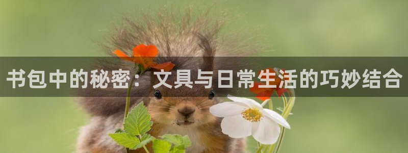 龙八国际娱乐网页多少：书包中的秘密：文具