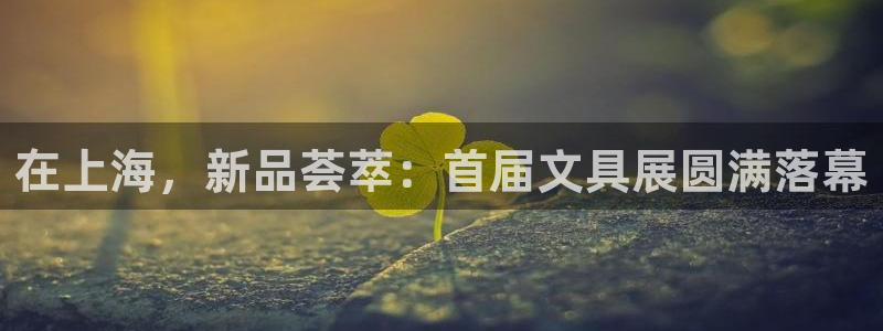 龙八国际电子游戏：在上海，新品荟萃：首届