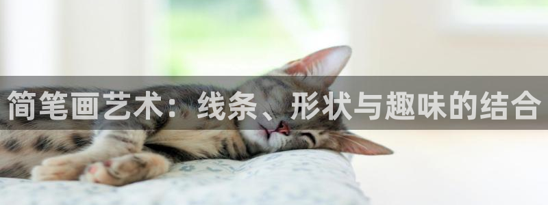 龙八国际登录入口：简笔画艺术：线条、形状